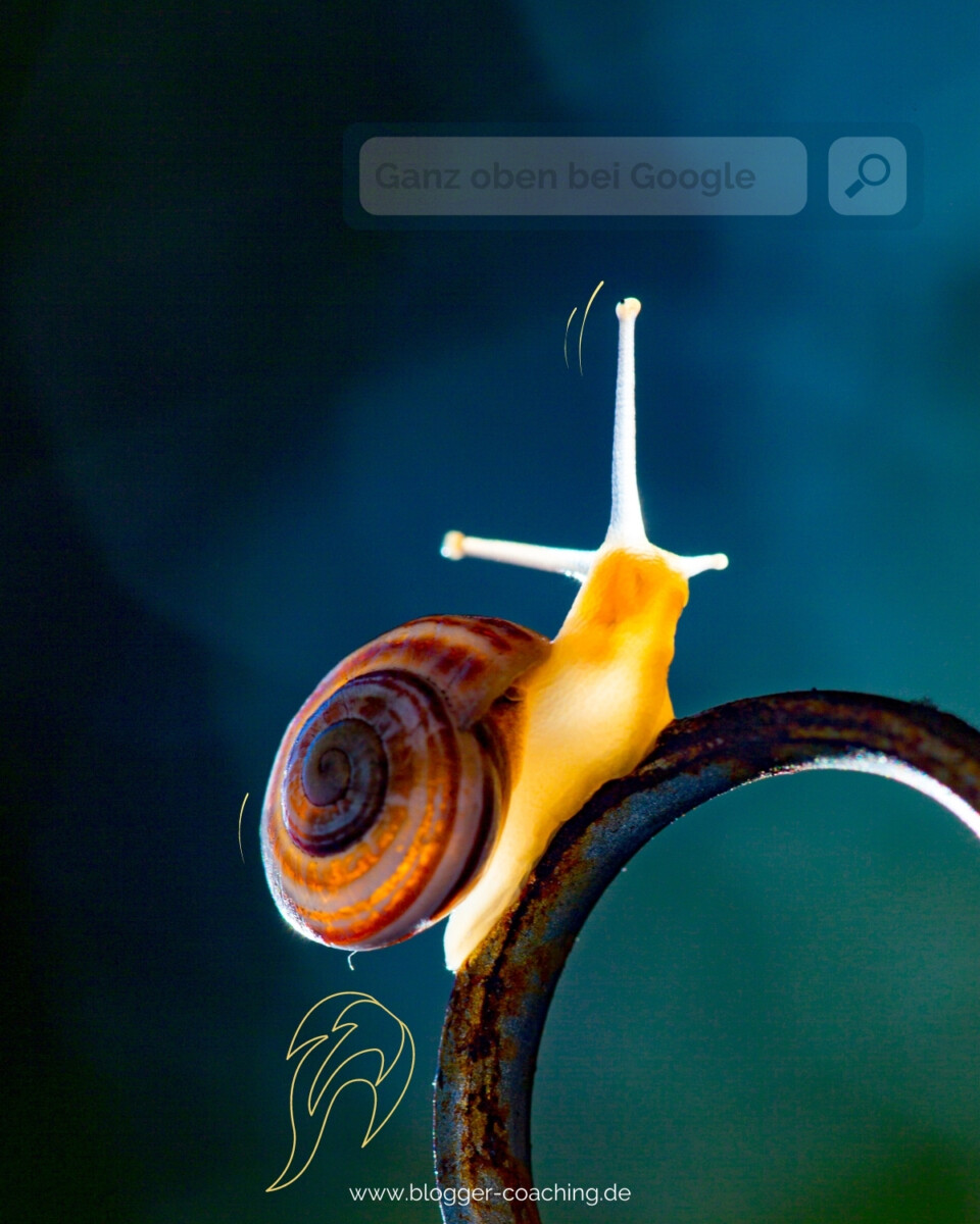 Blog SEO optimieren: 10 effektive SEO-Tipps für ein Top Google-Ranking in 2022