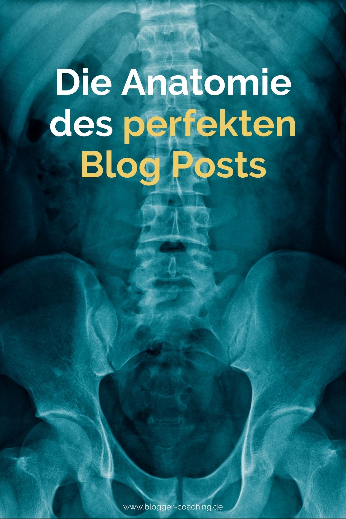 Die Anatomie des perfekten Blog Posts - Der ultimative Bauplan | Business Blogger Coaching Filiz Odenthal